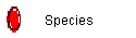 Species