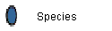 Species